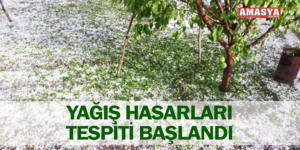 YAĞIŞ HASARLARI TESPİTİ BAŞLANDI