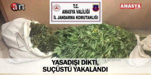 YASADIŞI DİKTİ, SUÇÜSTÜ YAKALANDI