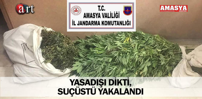 YASADIŞI DİKTİ, SUÇÜSTÜ YAKALANDI