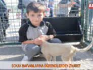 SOKAK HAYVANLARINA ÖĞRENCİLERDEN ZİYARET