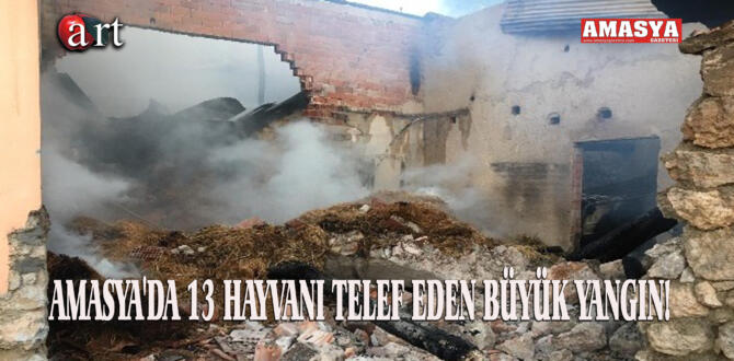 AMASYA’DA 13 HAYVANI TELEF EDEN BÜYÜK YANGIN!