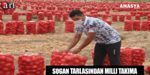 Soğan Tarlasından Milli Takıma