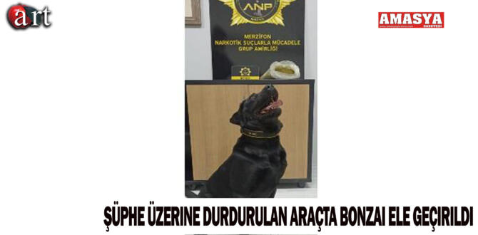 Şüphe Üzerine Durdurulan Araçta Bonzai Ele Geçirildi