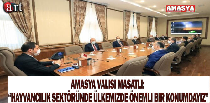 Amasya Valisi Masatlı: “Hayvancılık sektöründe ülkemizde önemli bir konumdayız”