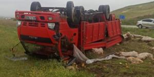 Amasya’da yaşanan trafik kazasında bir kamyon yoldan çıkarak tarlaya uçtu. Ters dönen kamyonun sürücüsü yaralandı.