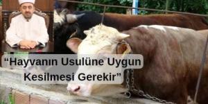 Kurban Bayramının yaklaşması ile kurban kesilecek olan hayvanın özelliği kadar usulüne uygun olarak kesilmesi de önemlidir.