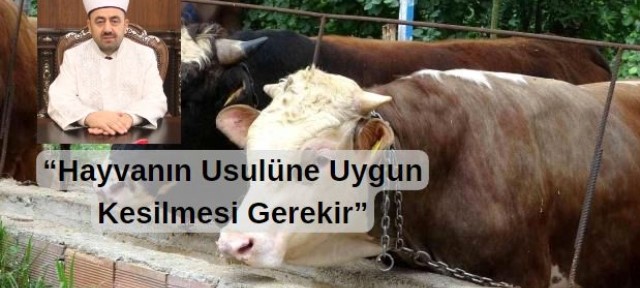 Kurban Bayramının yaklaşması ile kurban kesilecek olan hayvanın özelliği kadar usulüne uygun olarak kesilmesi de önemlidir.